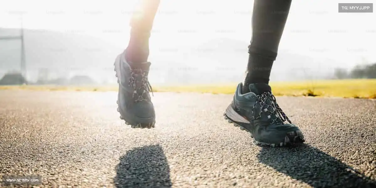 雷速——🎯射箭屏息，精准命中你的热爱🎯